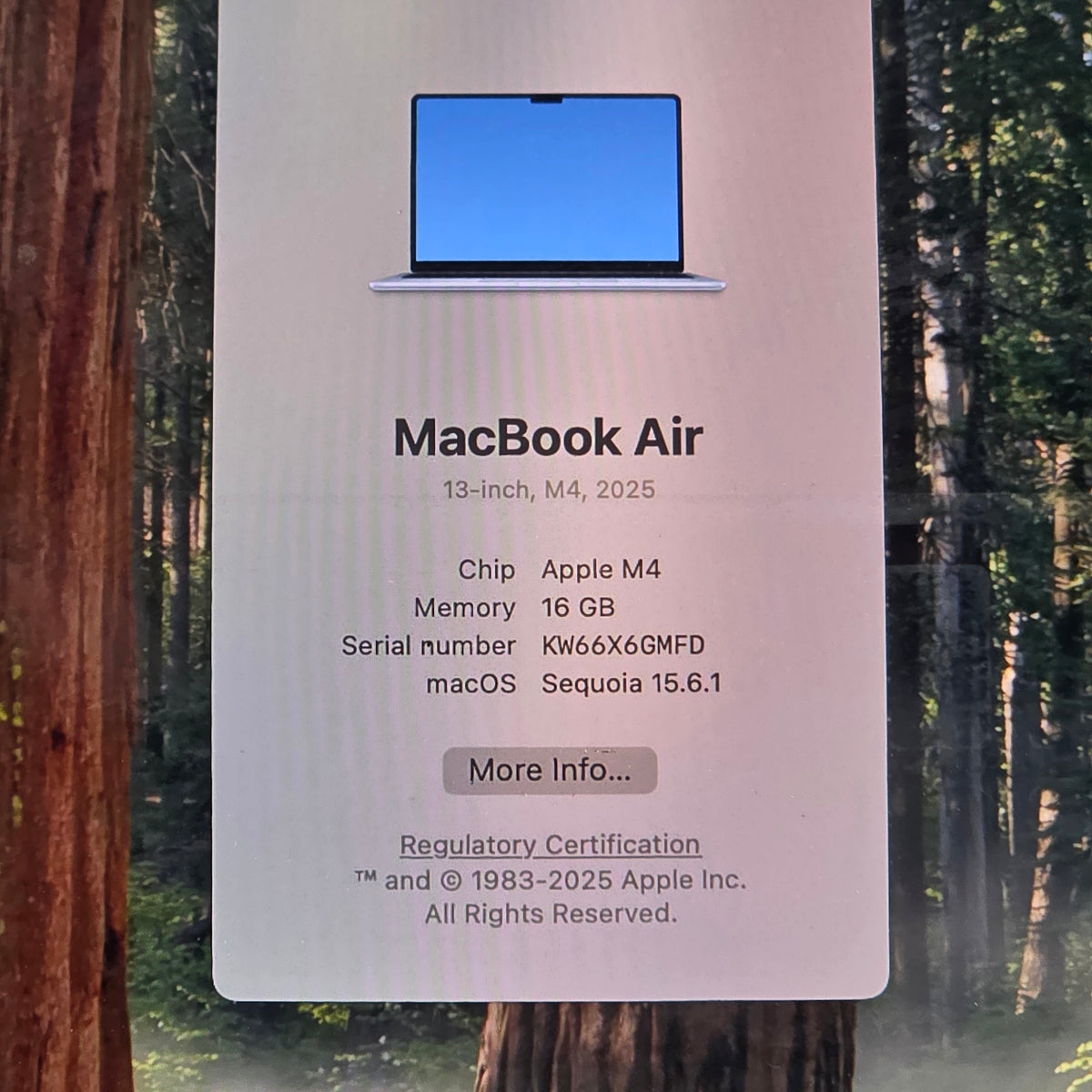 2025 Apple MacBook Air 13" M4 8C GPU 4.5GHz 16GB RAM 256GB SSD A3240